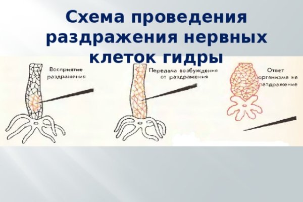 Как найти официальный сайт кракен