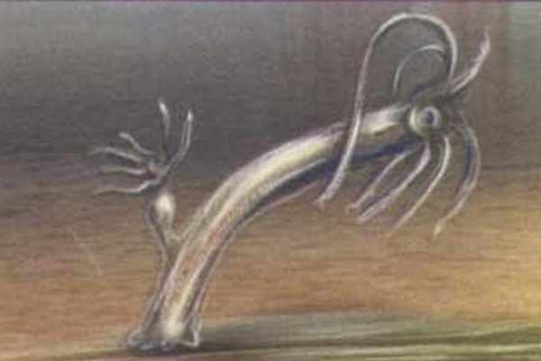 Кракен сайт упал