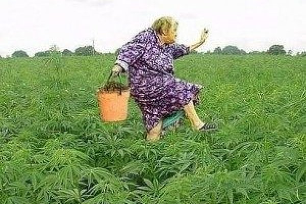 Кракен площадка торговая kr2web in