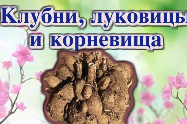 Кракен открылся
