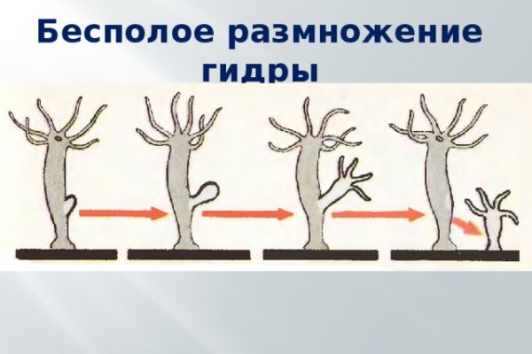 Кракен даркнет ссылка