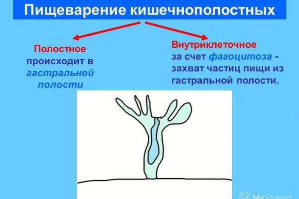 Как зарегаться в кракен