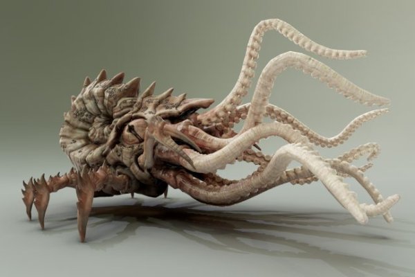 Кракен сайт официальный kraken clear com