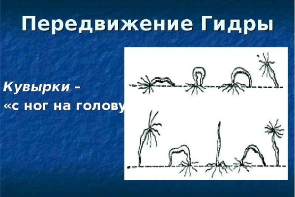 Сайты даркнета