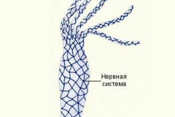 Кракен маркетплейс про